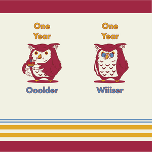 
            
                Load image into Gallery viewer, Hilarious owl birthday socks 
            
        